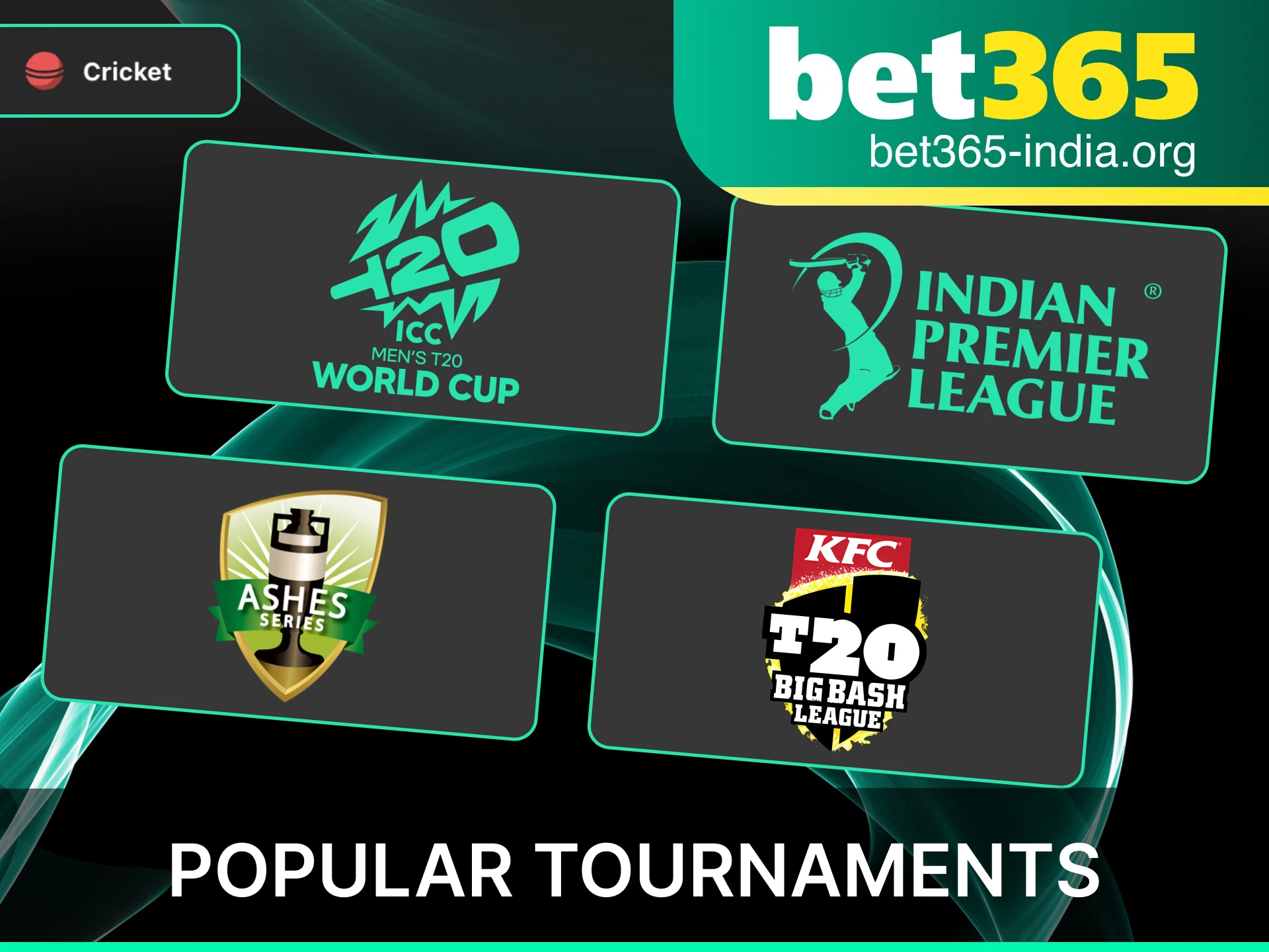 Bet on the world's most popular cricket tournaments, including the Indian Premier League and major international events, at Bet365 India.